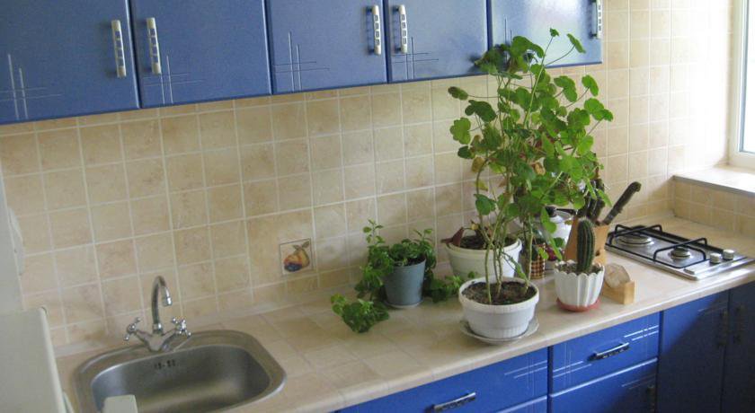 Апартаменты One-Bedroom Apartment Евпатория-11